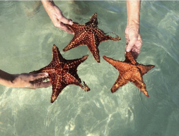 Condé Nast Traveler